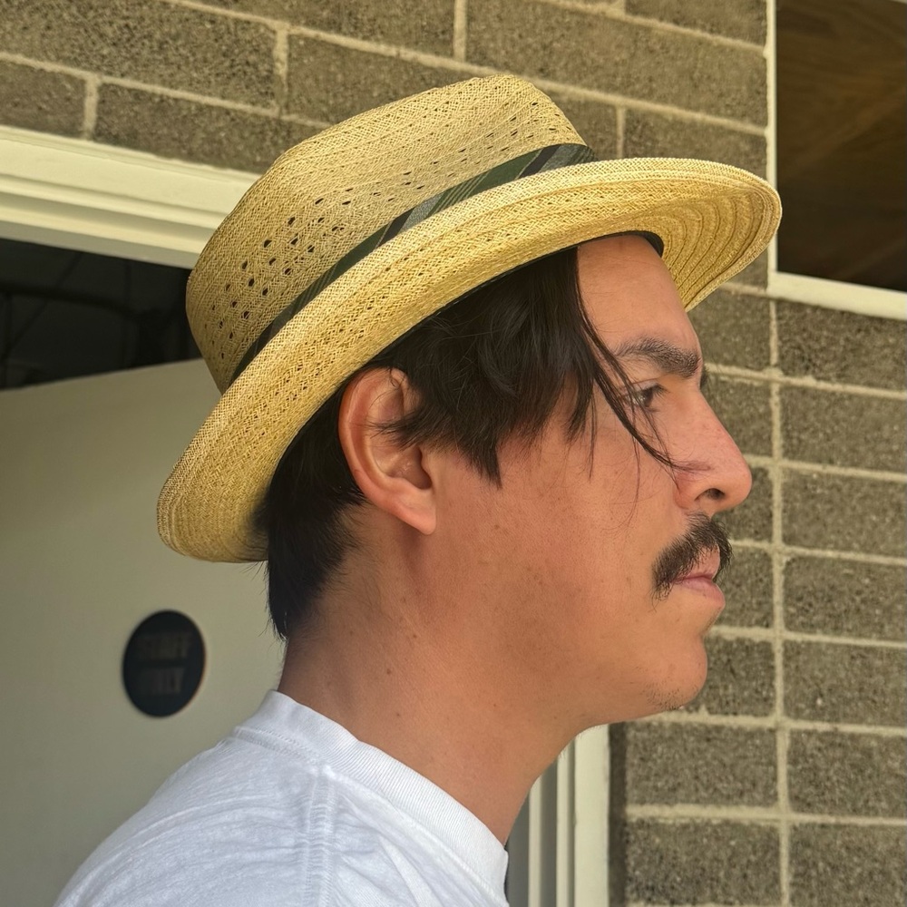 Park Plaza woven Straw Fedora
